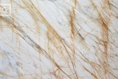 Calacatta Macchia Vecchia Polished Marble (121x75) [Lot #818]