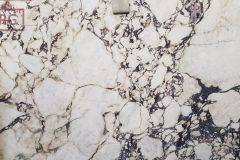 Calacatta Viola Honed Marble (122x74) [Lot #889]