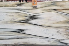 Oyster Fabricotti Polished Marble (129x67) [Lot #208]