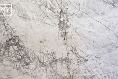 Spider White Honed Marble (110x66) [Lot #660]