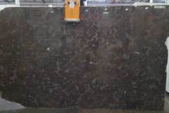 Fossil Brown Polished Marble (approx 103x61) [Lot#361} ***Singlie Slabs