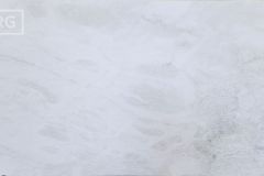 Bianco Rhino Honed Marble (128x77) [Lot 330]