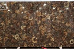 Ammonites Semi-Precious (119x63) [Lot #734]