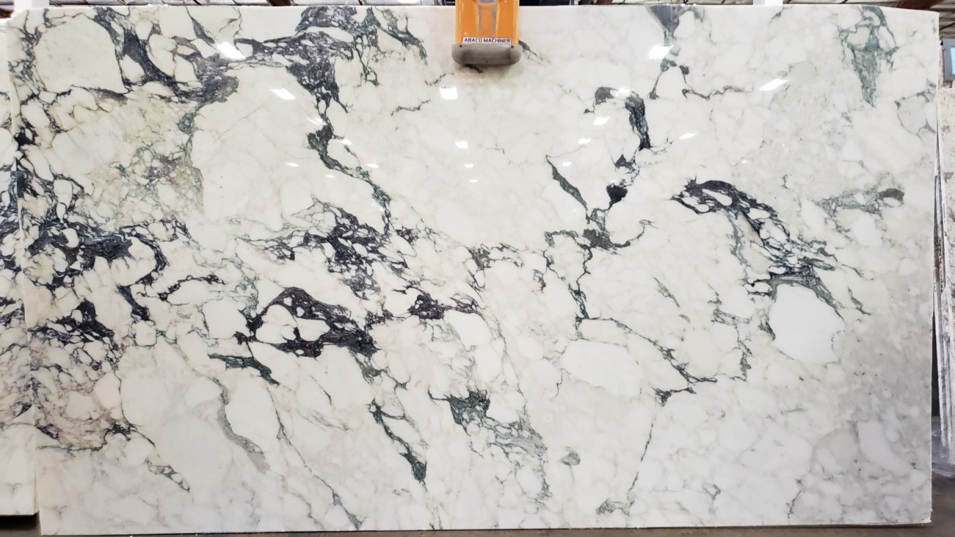 IRG Calacatta Paonazzo Marble The Charming Choice