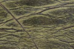 Forest Green Limestone (12x12 Polished)
